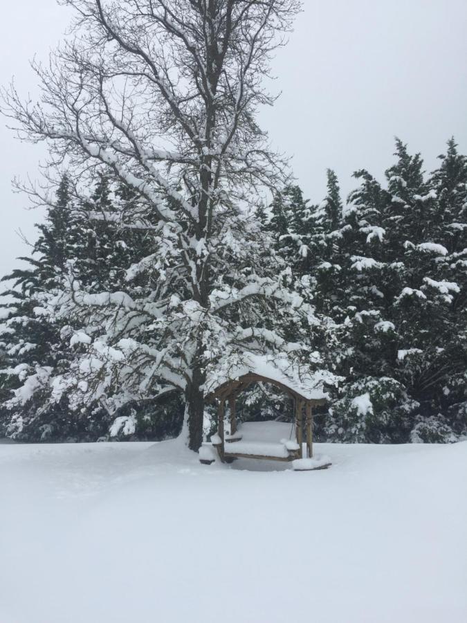 Mount Shasta Ranch Bed And Breakfast 외부 사진